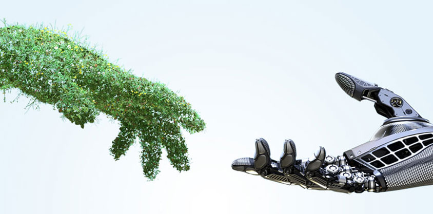 cms-banner-3.jpg